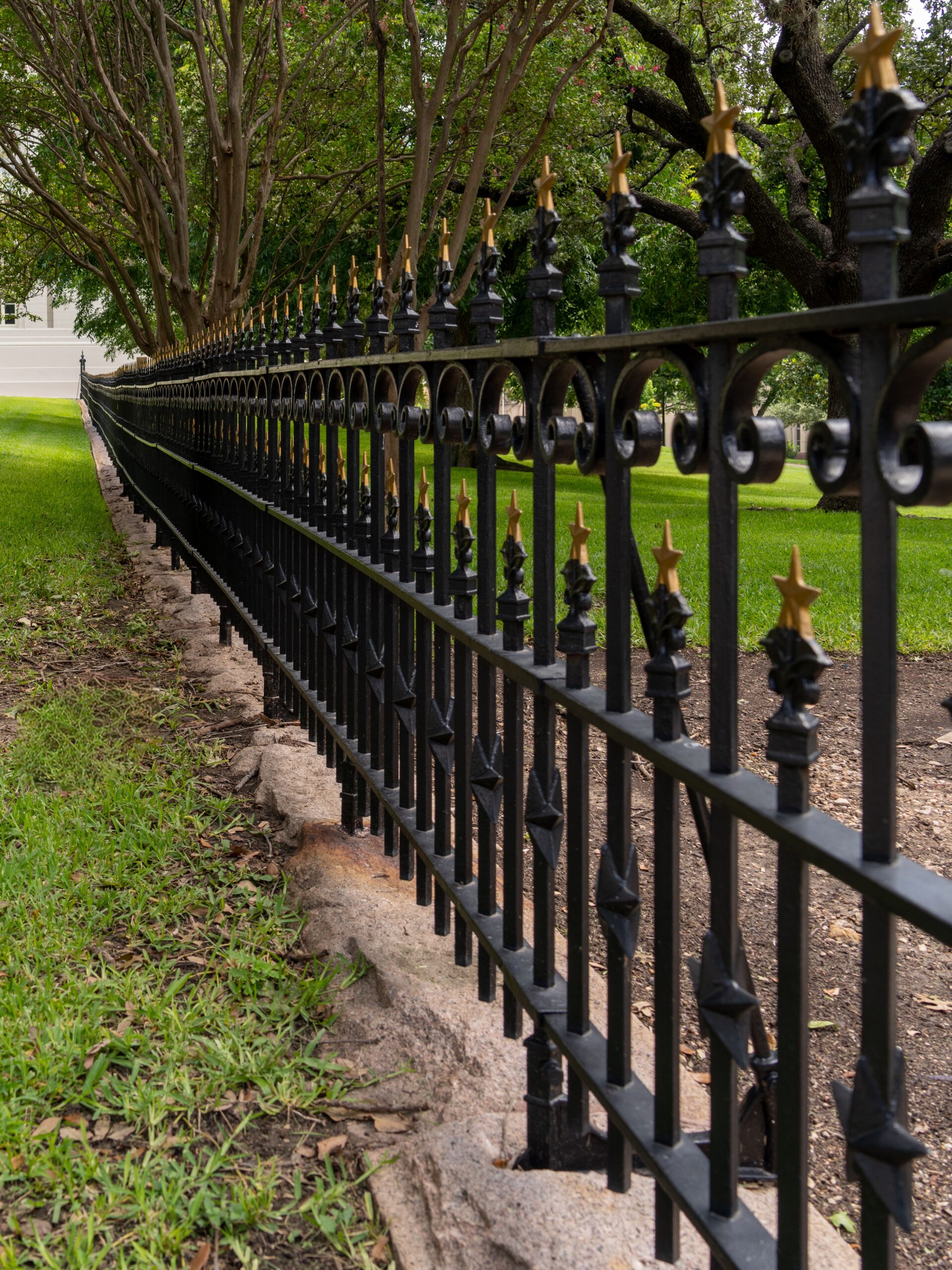 Elegant black iron fence with gold stars in a lush Austin, Texas park setting.